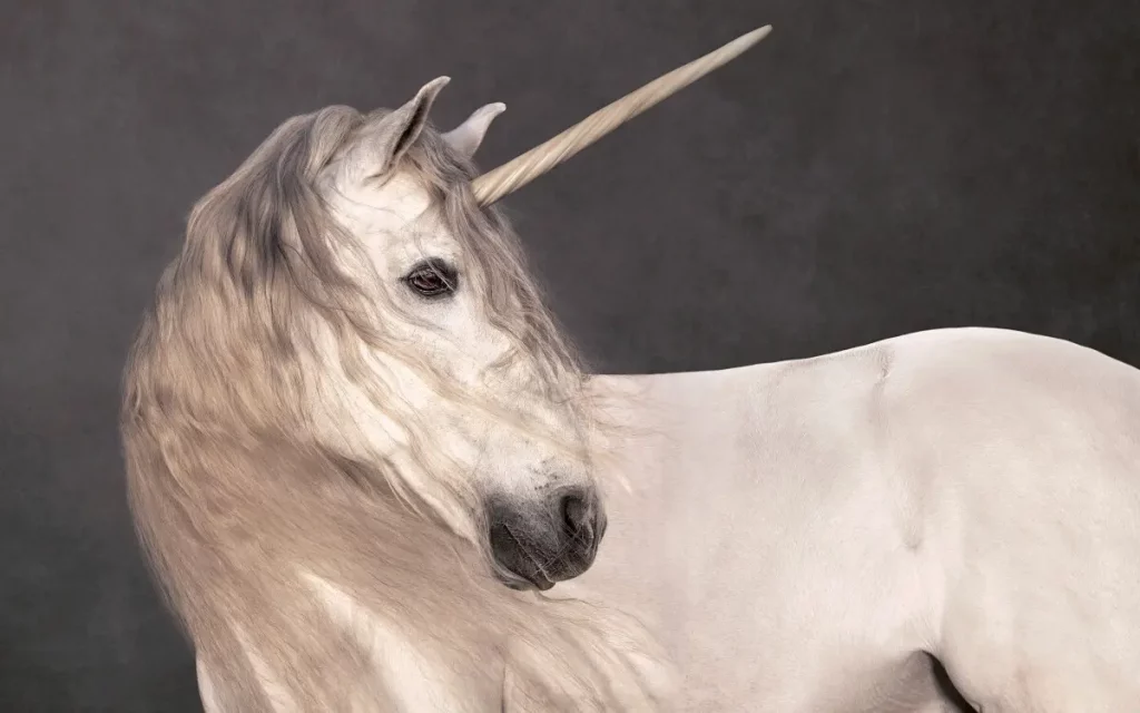 La licorne, photographie de Marie-Cécile Thijs - 2012