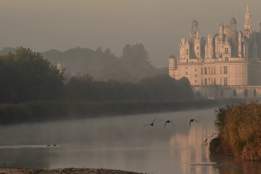 Le Château de Chambord dans la brume du petit matin avec des oiseaux qui prennent leur envol.