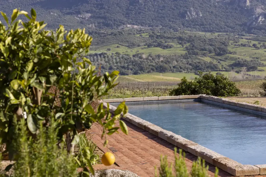 Piscine dominant les vignes du domaine et la montagne du Sartenais au Hameau de Saparale.